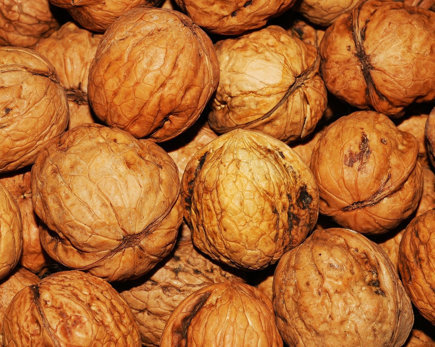 walnuts 101425 1920 e1614601826900